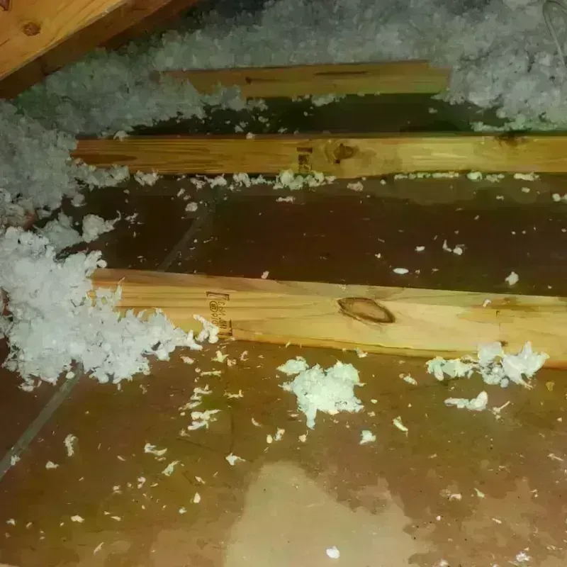 Attic Water Damage in Carlton, OR