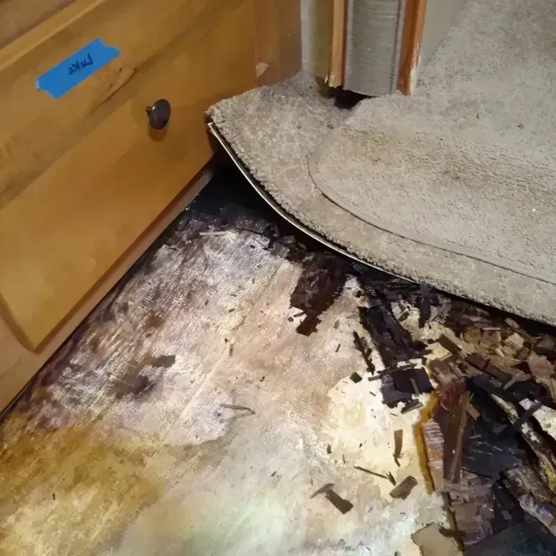 Wood Floor Water Damage in Carlton, OR